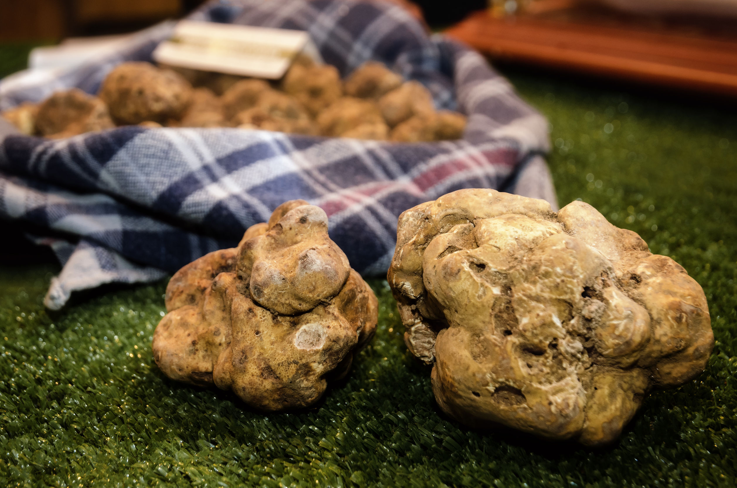 Fiera Internazionale del Tartufo Bianco d'Alba